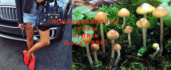 амф Алексеевка