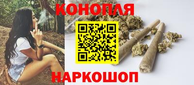 прущие грибы Дубна