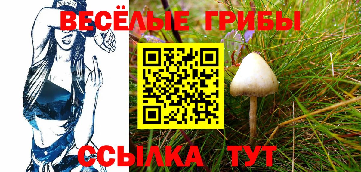 Галлюциногенные грибы мухоморы  Вход с VPN  Минусинск 
